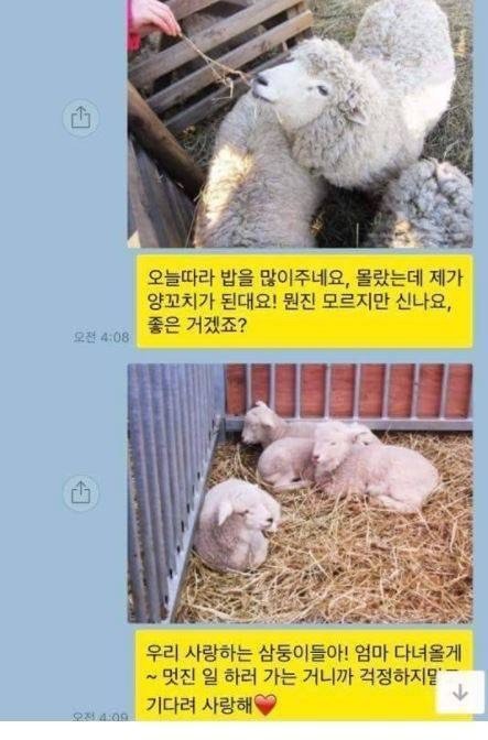 ??: 제 이름은 초원이에요! | 인스티즈