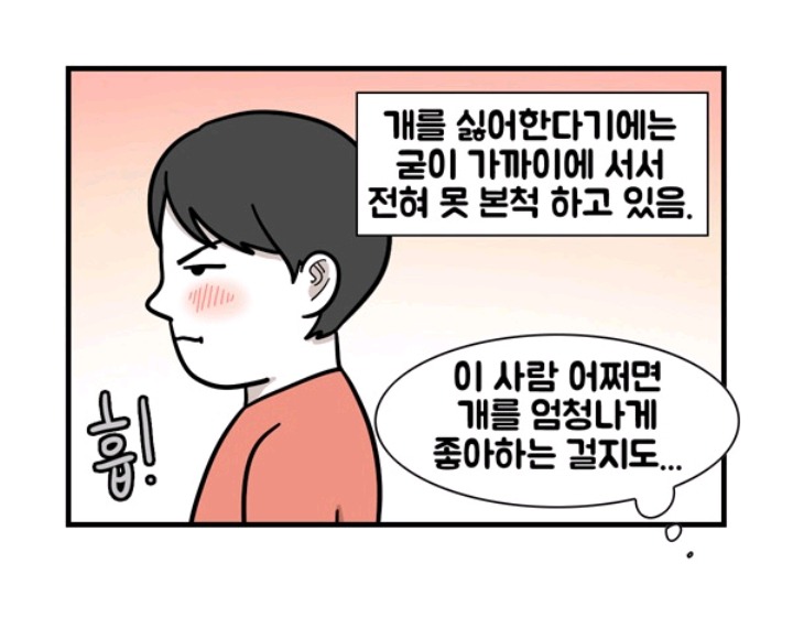 개 좋아하는 사람 특징 | 인스티즈