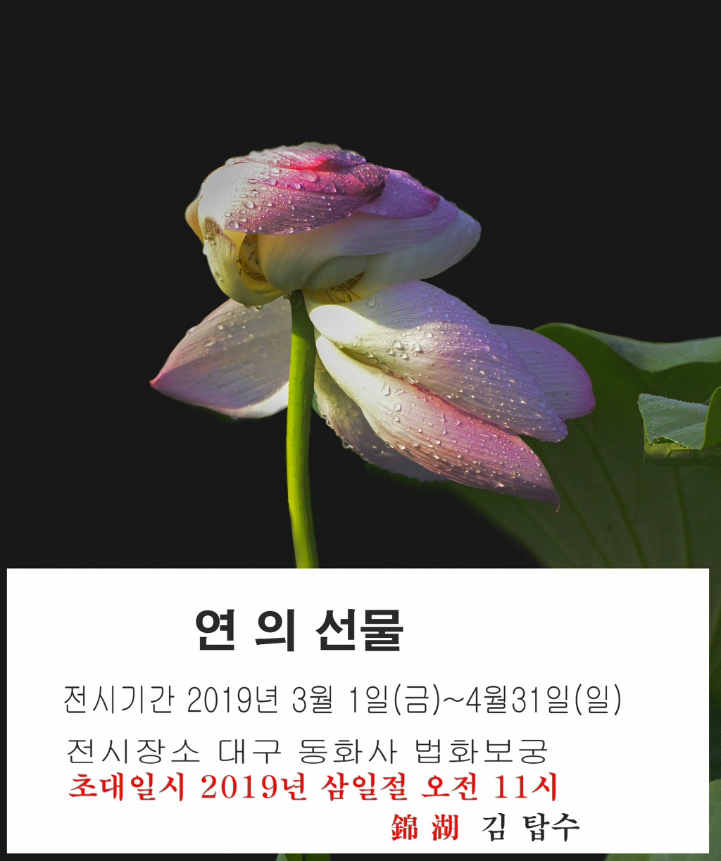 보궁 이미지