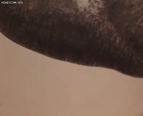 해파리한테 한테 닿기만 해도 큰일나는 이유 | 인스티즈