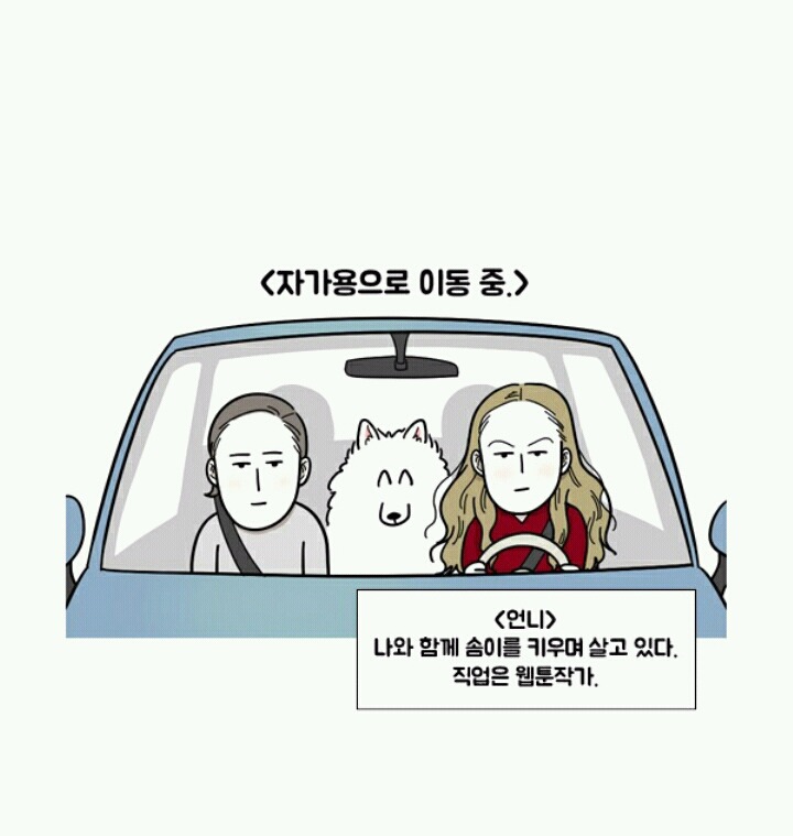사람들이 극한견주봐도 잘 모르는 사실 | 인스티즈