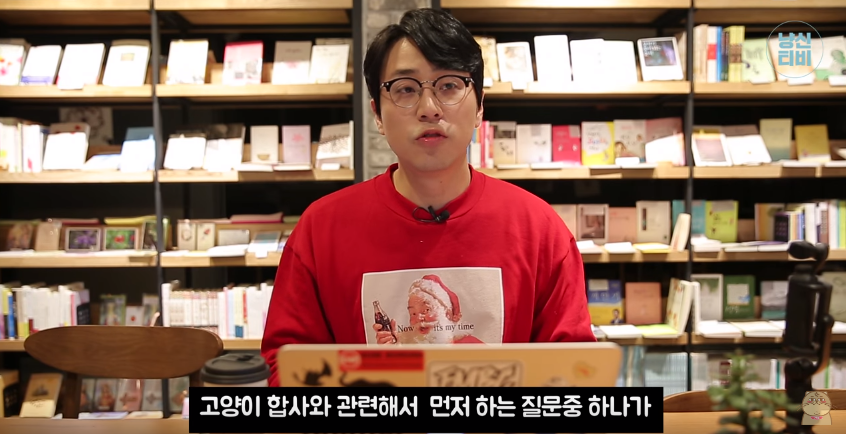 고양이 다묘가정이 행복할까? 혼자가 행복할까? (feat. 냐옹신) | 인스티즈