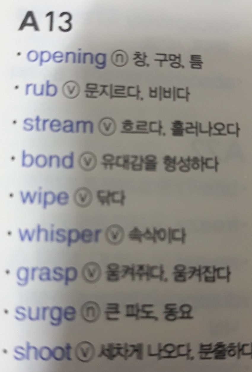 음란한 영어단어책 | 인스티즈