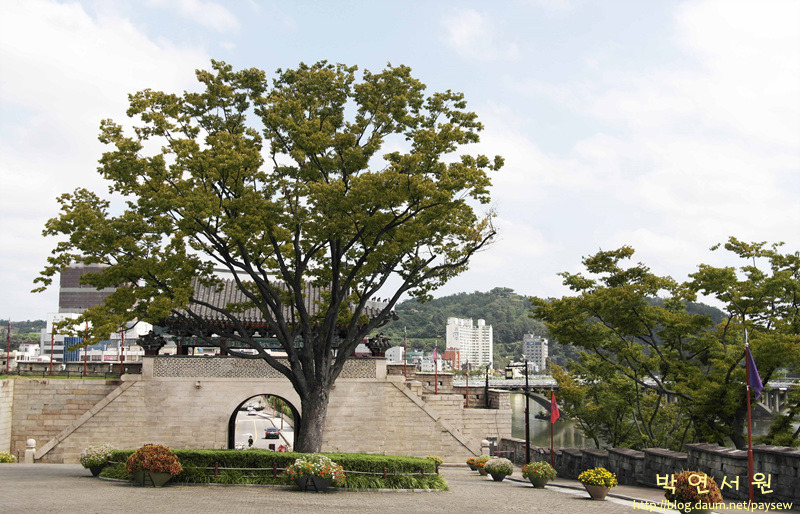 하연옥 이미지