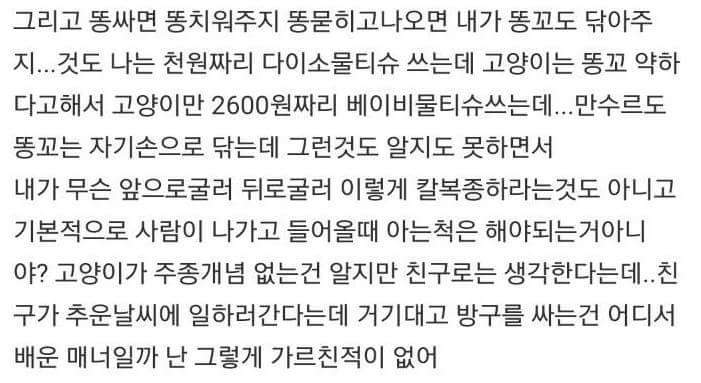 는 고양이한테 상처받앗다.. | 인스티즈