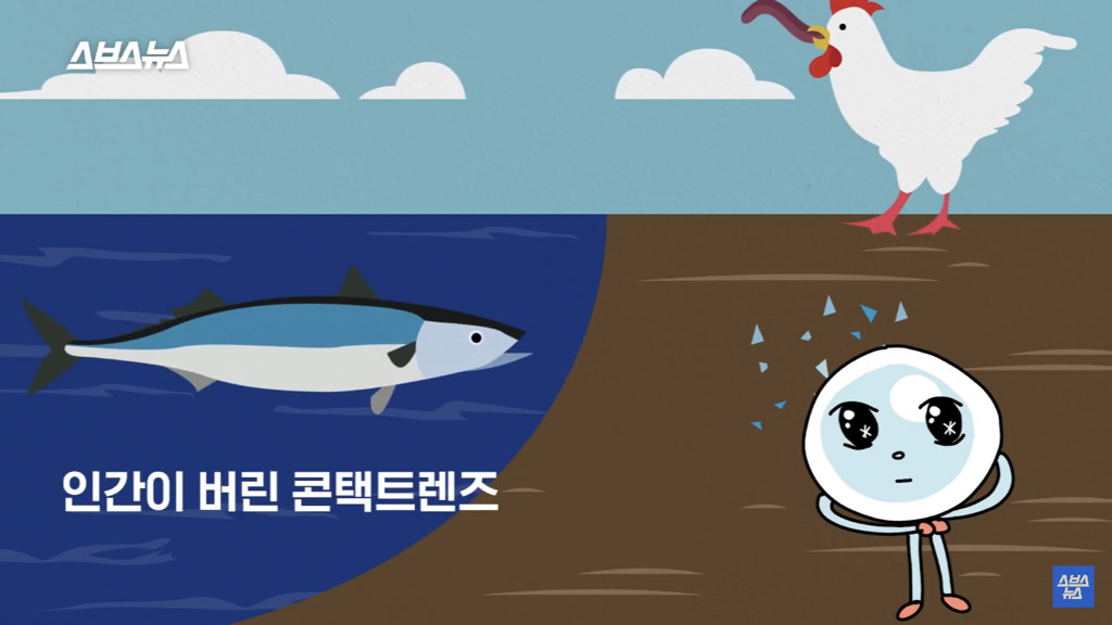 세면대나 변기에 버려진 콘택트 렌즈 어디로 갈까? | 인스티즈