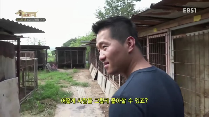 제발 살려줘. .. 우리주변의 아기들 이야기야 | 인스티즈