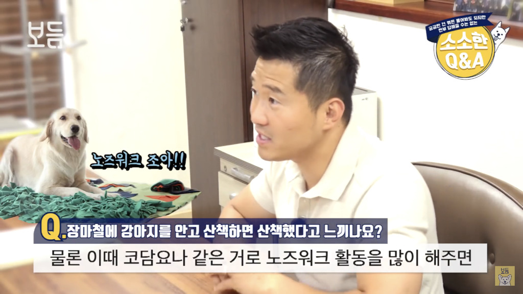 장마철에 강아지를 안고 산책하면 산책했다고 느끼나요?.jpg | 인스티즈