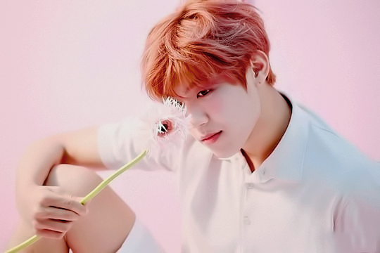 우진광고 이미지