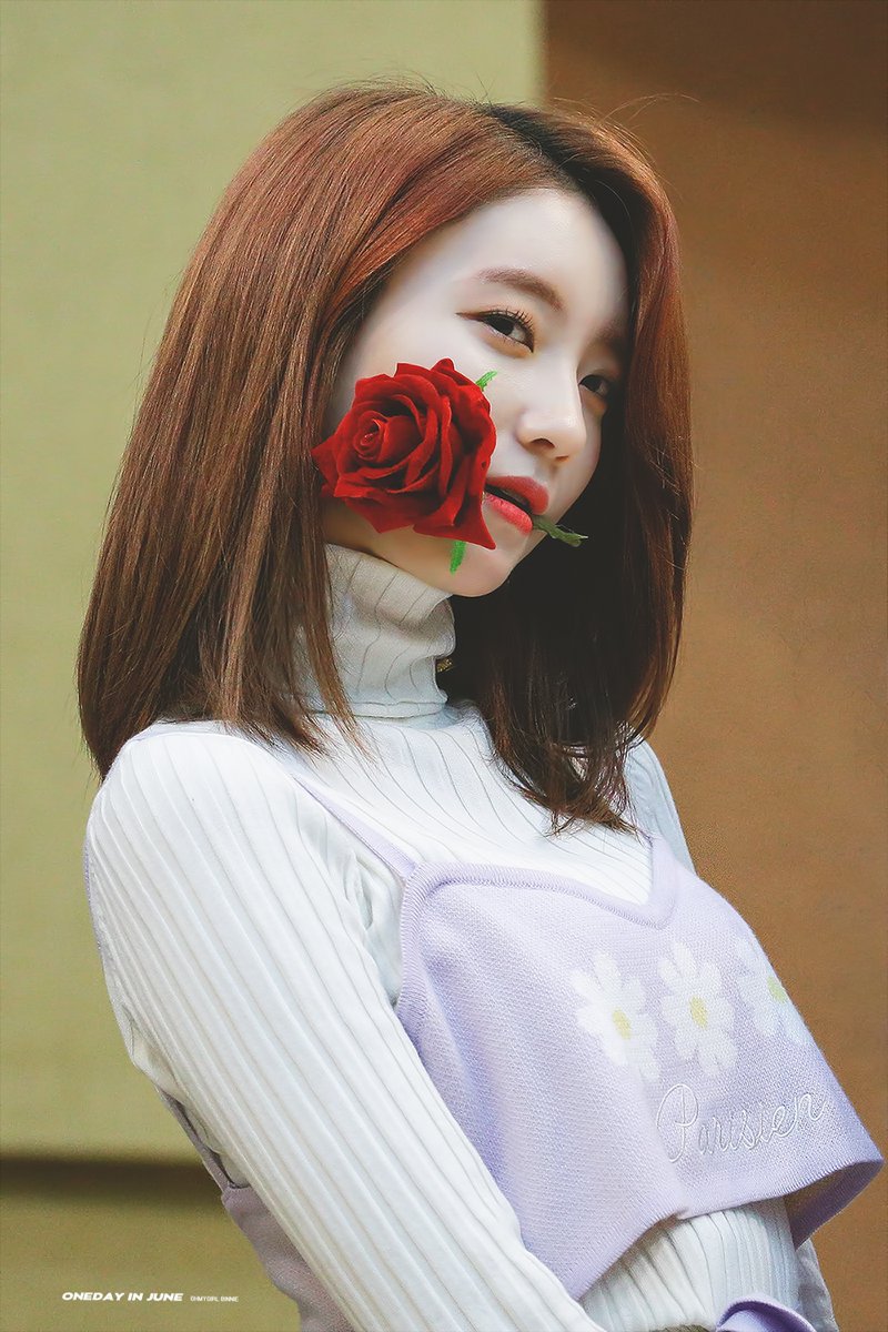 최근 사인회에서 장미 입에 문 오마이걸 비니.jpg | 인스티즈