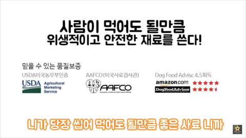 밥먹을때 강아지가 쳐다보는 이유 | 인스티즈