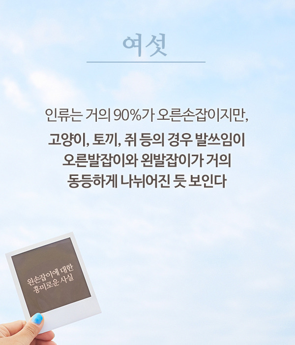 왼손잡이에 대한 흥미로운 사실 | 인스티즈