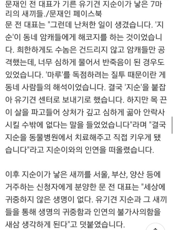 자연과 모든 동식물을 사랑하시는 문재인 대통령 일화 | 인스티즈