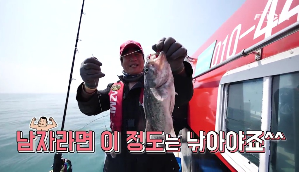 퍼니피쉬 이미지