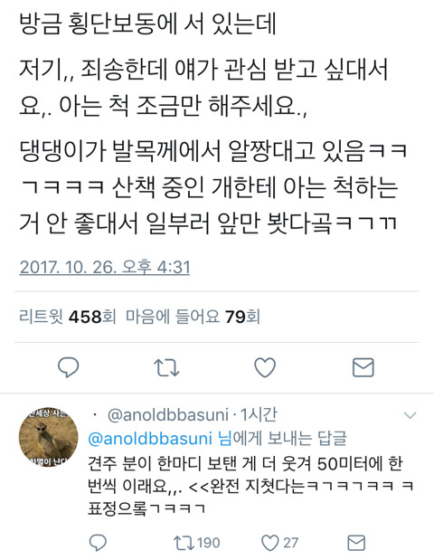 댕댕이가 사람을 좋아하면 생기는 일 | 인스티즈