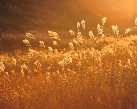 밀양 세종병원서 화재로 6명사망 19명 부상..jpg | 인스티즈