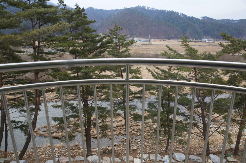 숲사잇길펜션 이미지