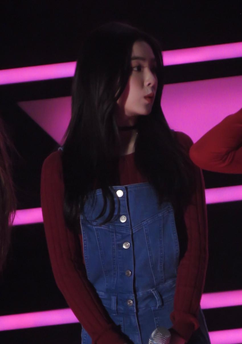 피버 페스티벌 레드벨벳 | 인스티즈