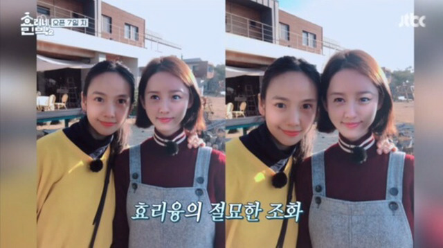 효리네민박 직원들 얼굴 바꾸기.jpg | 인스티즈