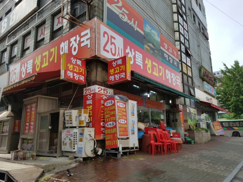 상록수 이미지