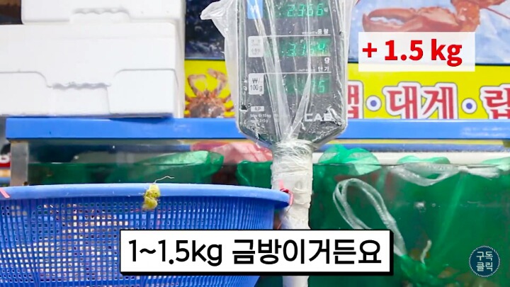 대게나 킹크랩살때 바가지 안당하는 방법!!! | 인스티즈