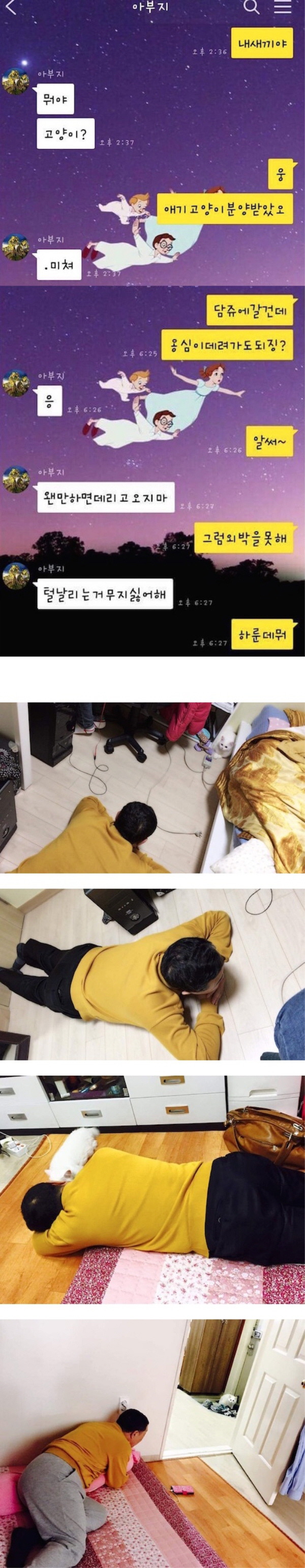 아빠는 고양이 털 날리는 거 무지 싫어한다 | 인스티즈