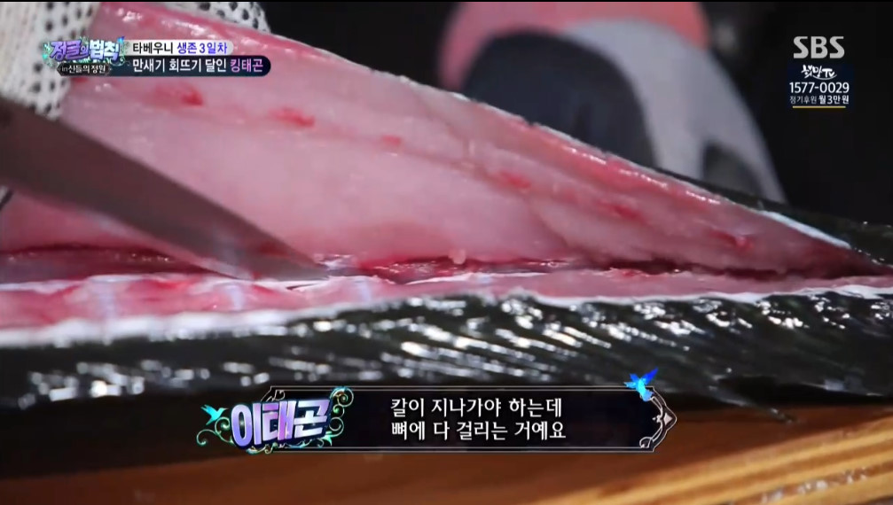 오늘자 정글의법칙 이태곤 회뜨기 클라스 | 인스티즈