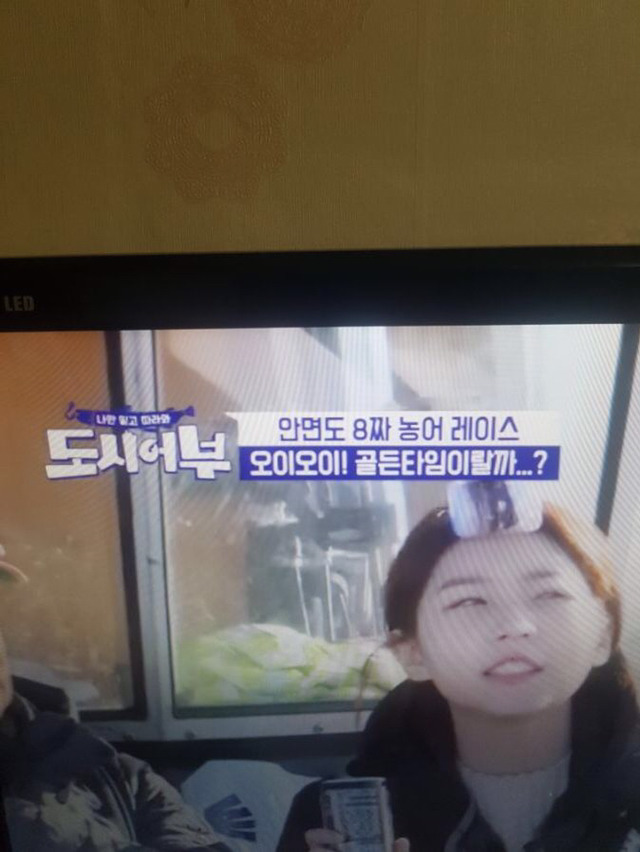 누가 도시어부 편집자 인터넷 선좀 끊어라!.jpg | 인스티즈