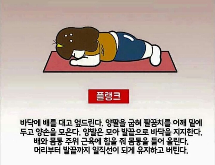 4분으로 1시간 효과를 보는 4분 타바타 운동법 | 인스티즈