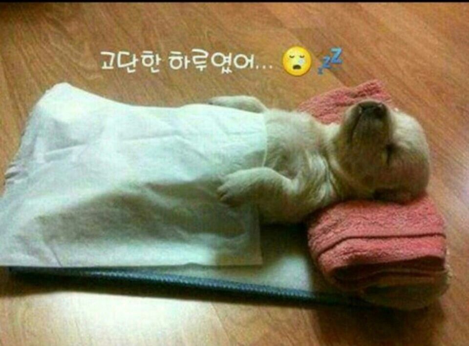 나두 이미지