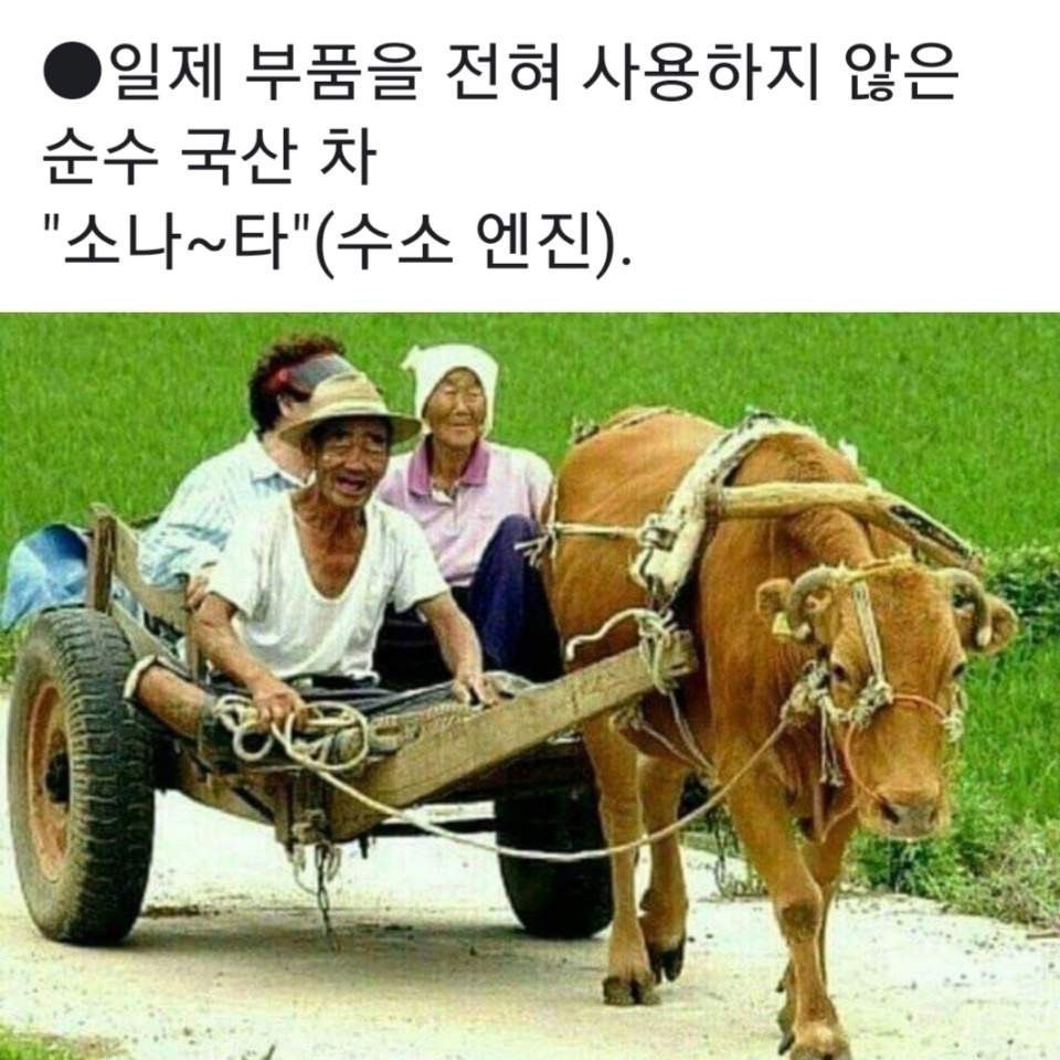 장하다 이미지