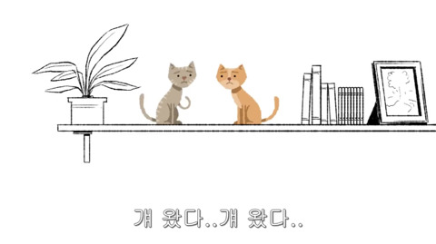 [동물] 고양이의 속마음 | 인스티즈