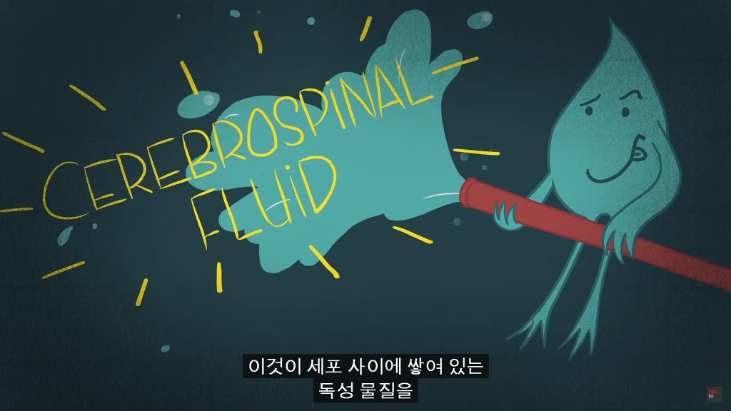 잠을 자지않는다면 우리몸에 어떠한 변화가 일어날까?.JPG | 인스티즈