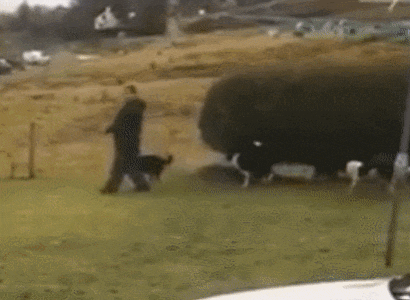 자라온 환경이 중요한 이유 | 인스티즈