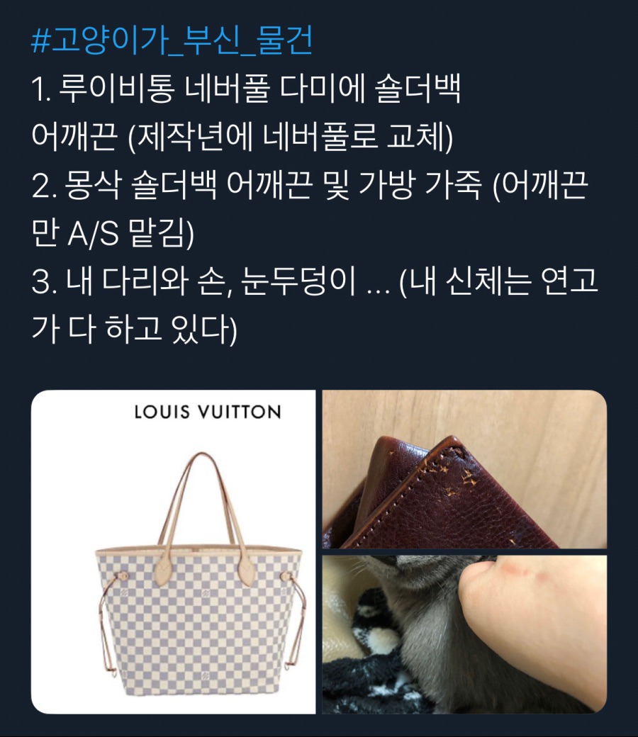 귀엽지 않았으면 멸종당했을 생물.jpg | 인스티즈