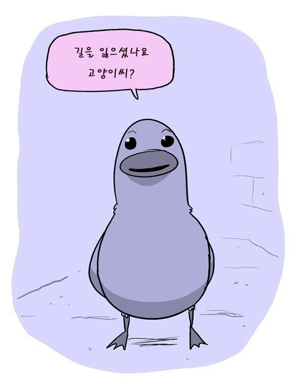 길잃은 고양이의 최후 ㅠㅠ | 인스티즈