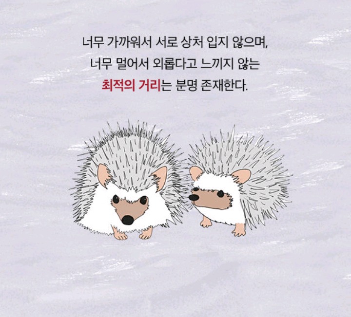 혼자가 편한 사람들의 진심 | 인스티즈