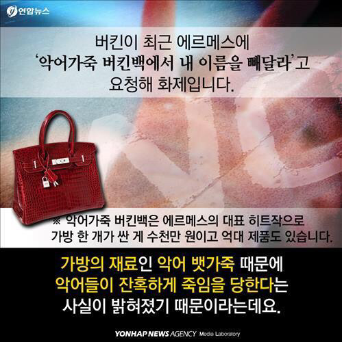 제인 버킨이 버킨백에서 자기 이름 빼달라고 한 이유.jpg | 인스티즈