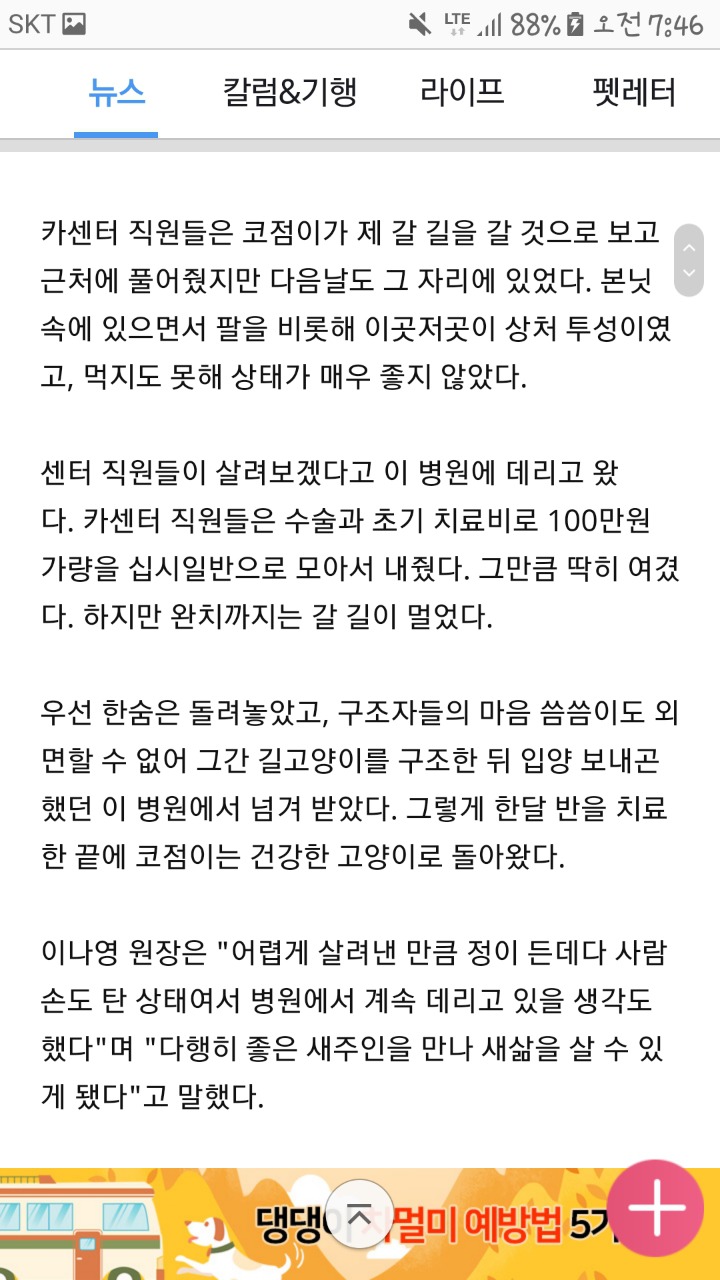 길고양이 입양한 보호자에 손편지 쓴 수의사 | 인스티즈