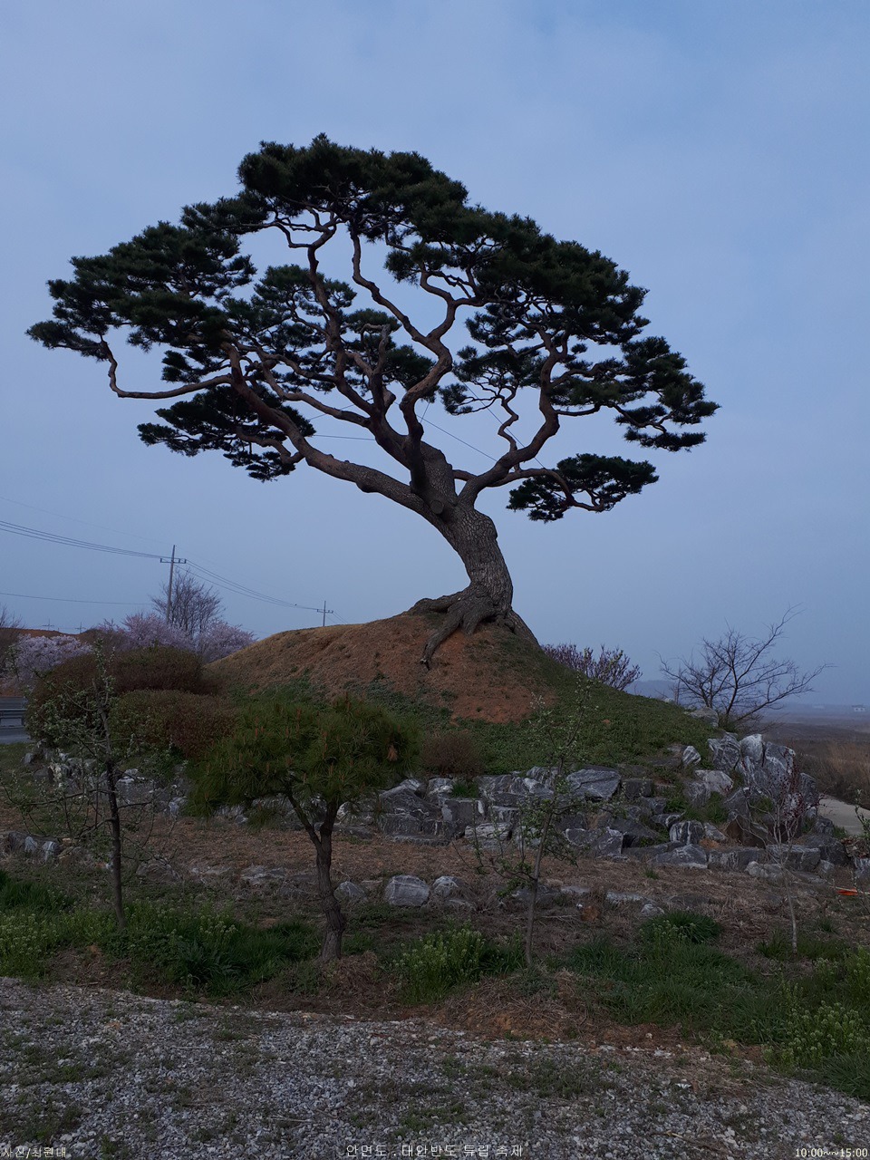 태안반도 이미지
