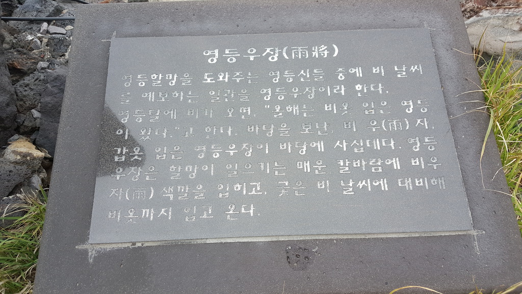 오름꽃 이미지