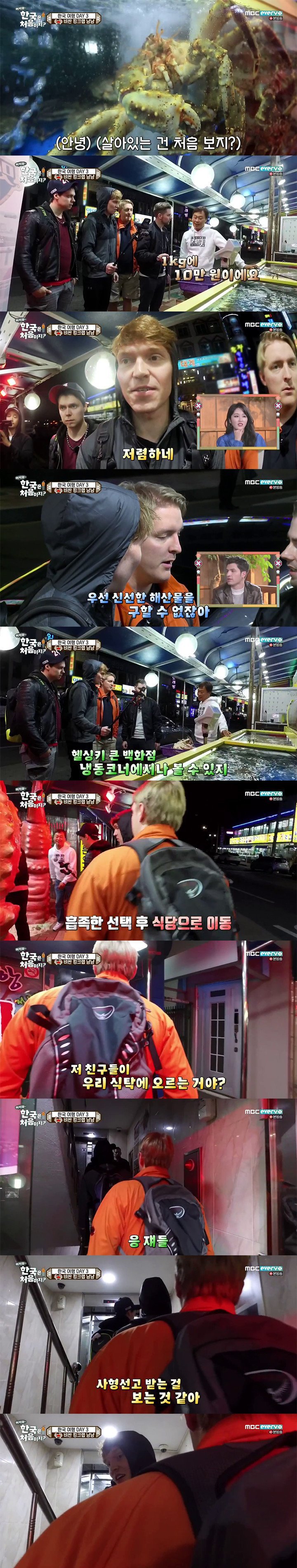 핀란드 친구들이 킹크랩을 대하는 자세 | 인스티즈