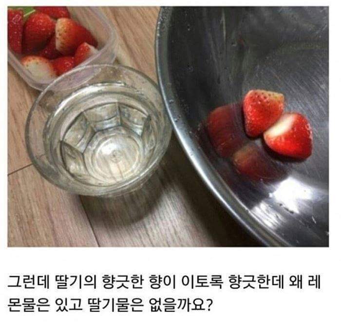 어느 한 블로거의 의식의 흐름.jpg (ㄹㅇ의식의 흐름 주의) (묘하게 논리적 주의) | 인스티즈