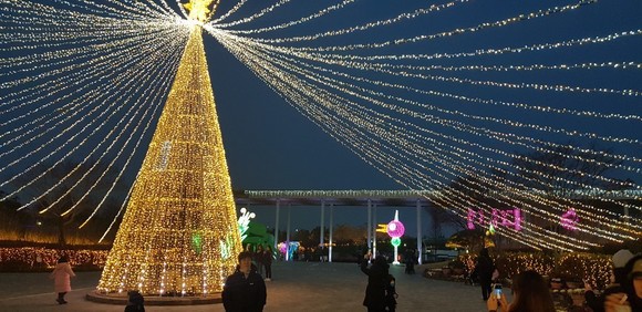 플로리다정원 이미지