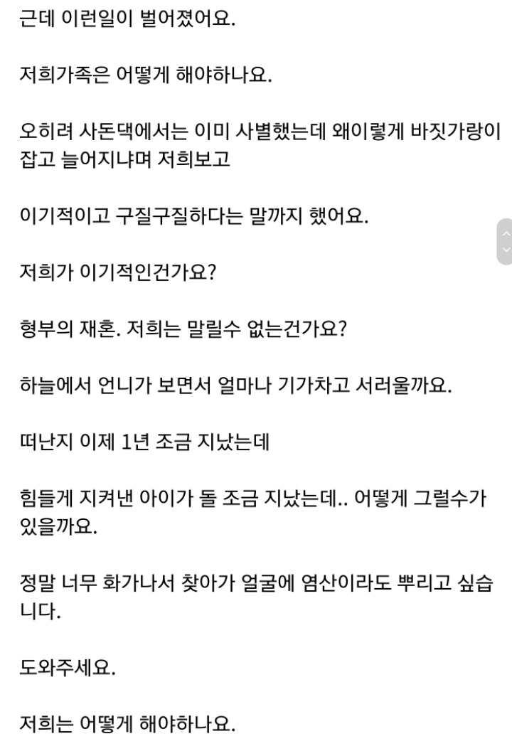 형부의 재혼을 말리는 저희가족이 이기적인건가요?...jpg | 인스티즈
