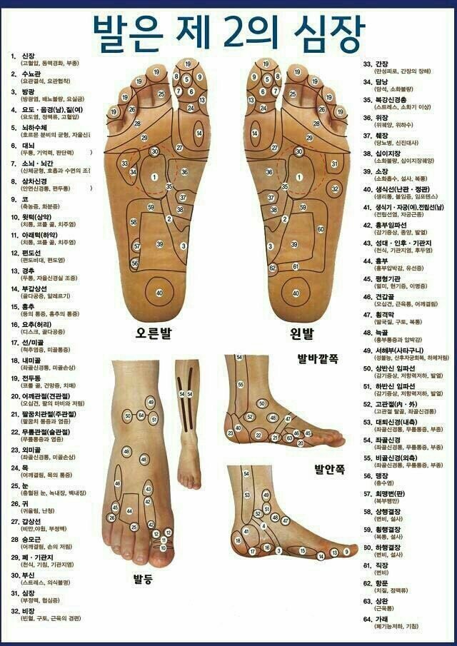 다섯발가락 이미지
