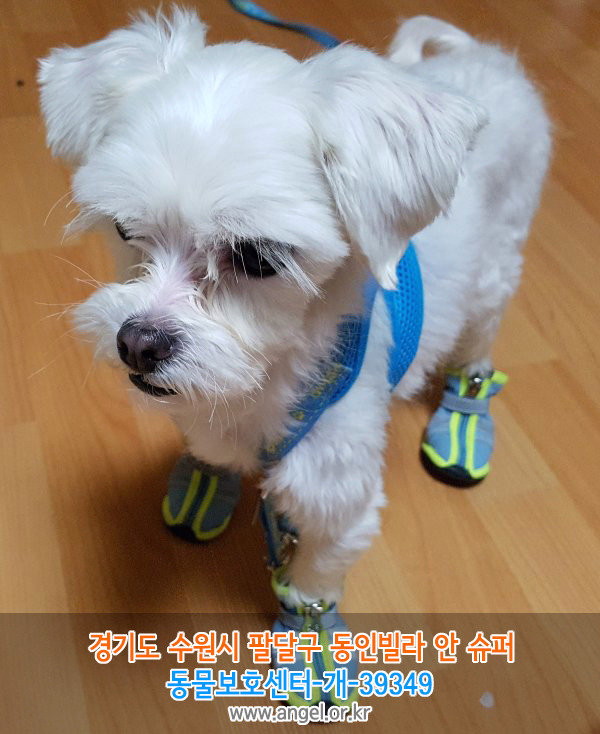 팔달슈퍼 이미지