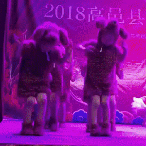 머리론 싫다고 하는데 몸은 익숙함.gif | 인스티즈