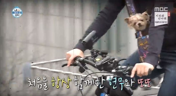 [나혼자산다] 전현무와 17살 반려견 또또 이야기.jpg | 인스티즈