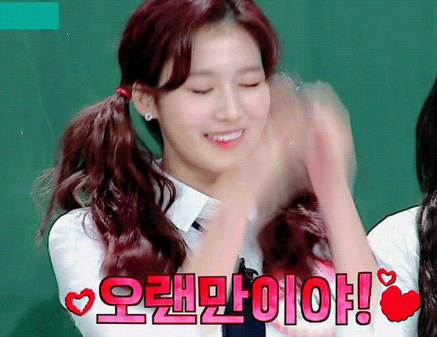 시바견인가 다람쥐인가....... 사나 | 인스티즈